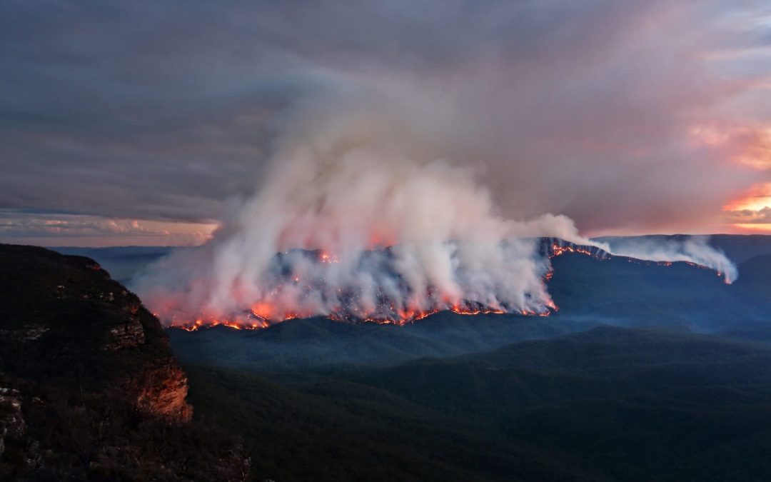 Australia Bushfires –– What You Need to Know