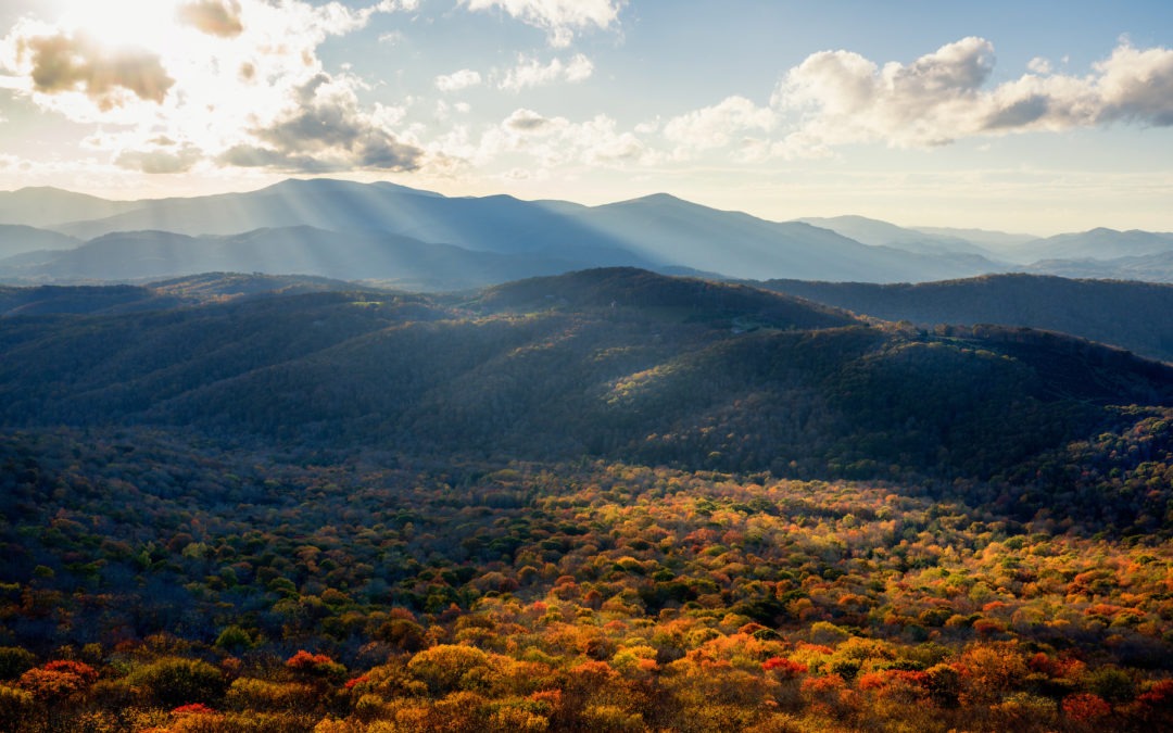 Let’s Find Out How Outdoor Playgrounds in North Carolina Will be Impacted by Climate Change