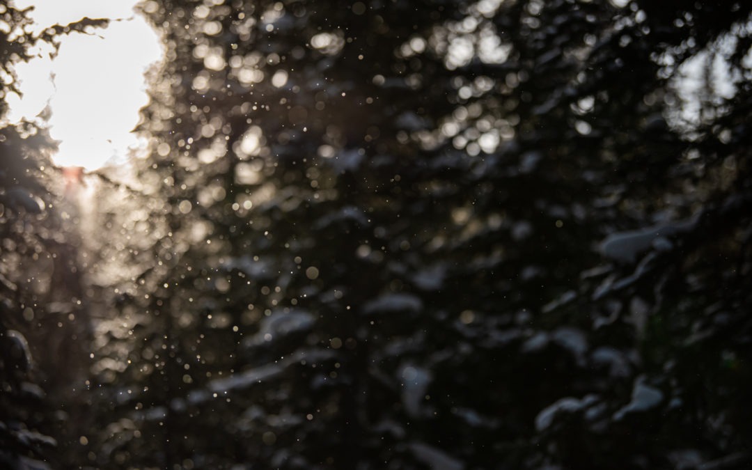 The POW Dispatch: Our take on climate news, January 15, 2021