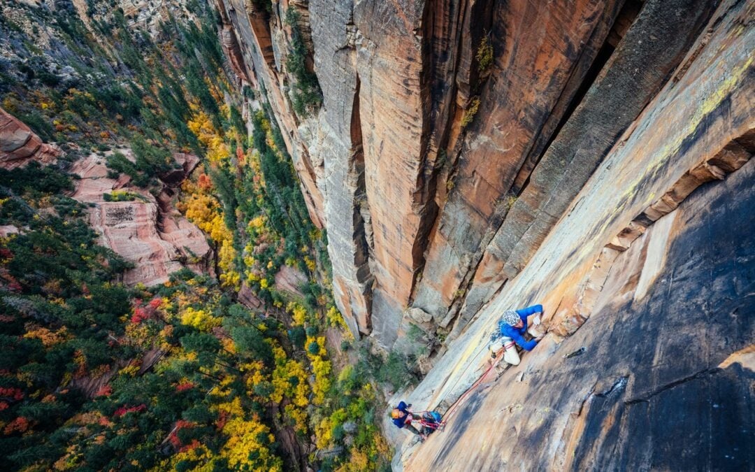 Celebrate Earth Day with POW