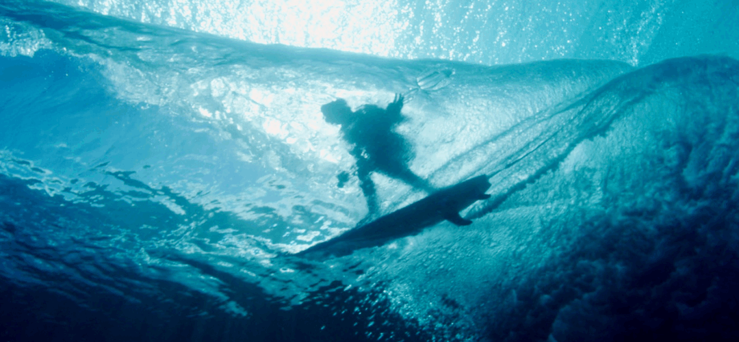 From Ridge to Reef: POW Launches the Water Alliance