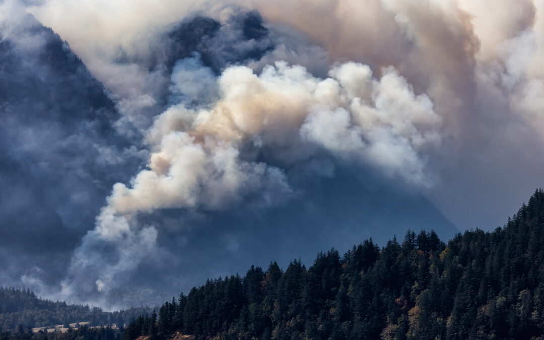 The Global Reach & Rising Risk of Extreme Wildfires