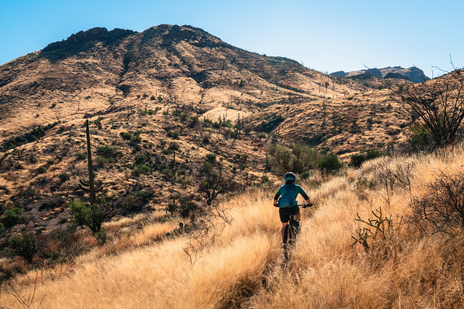 Heat Waves 101: Why Summer Feels Like a Sufferfest