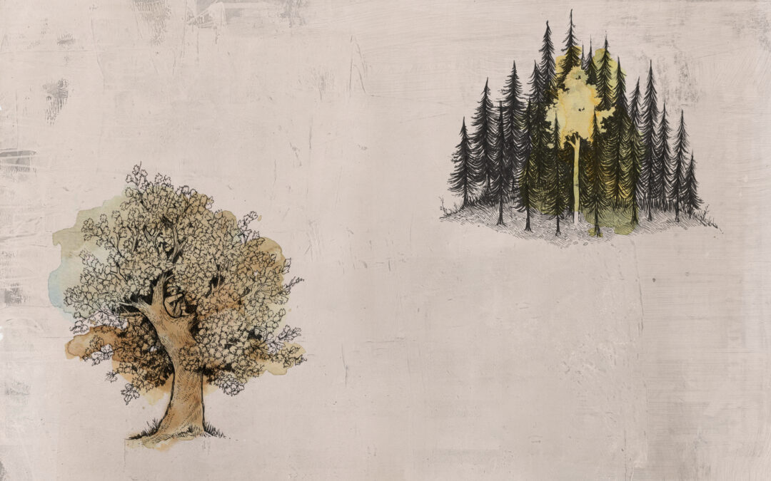 Eventually a Sequoia – POW Creative Alliance member Jeremy Collins on Writing, Art, and Creating 