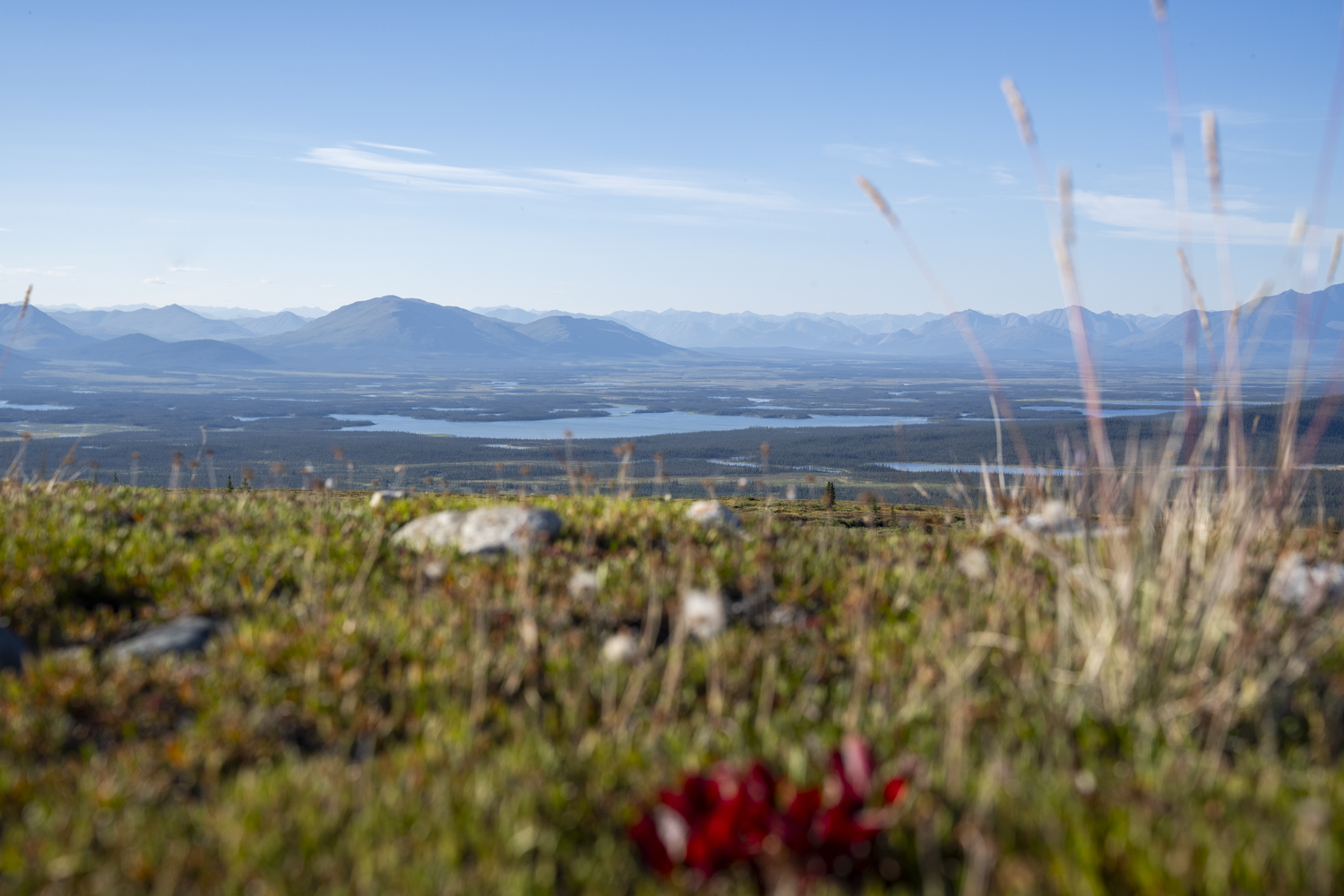 Why You Should Care About the Arctic National Wildlife Refuge—And What You Can Do to Help Protect It