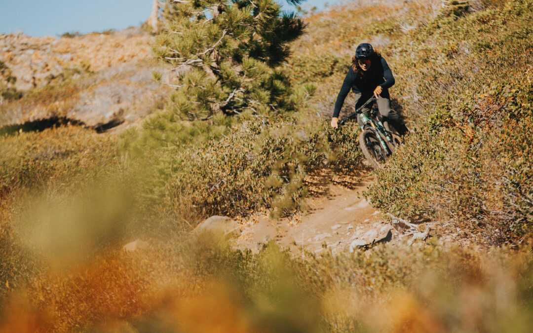 Origins: Restoring the Lines Between People and Place