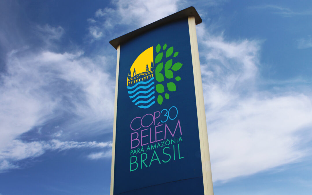 Inside COP30: A Mix of Progress and Deep Disappointment