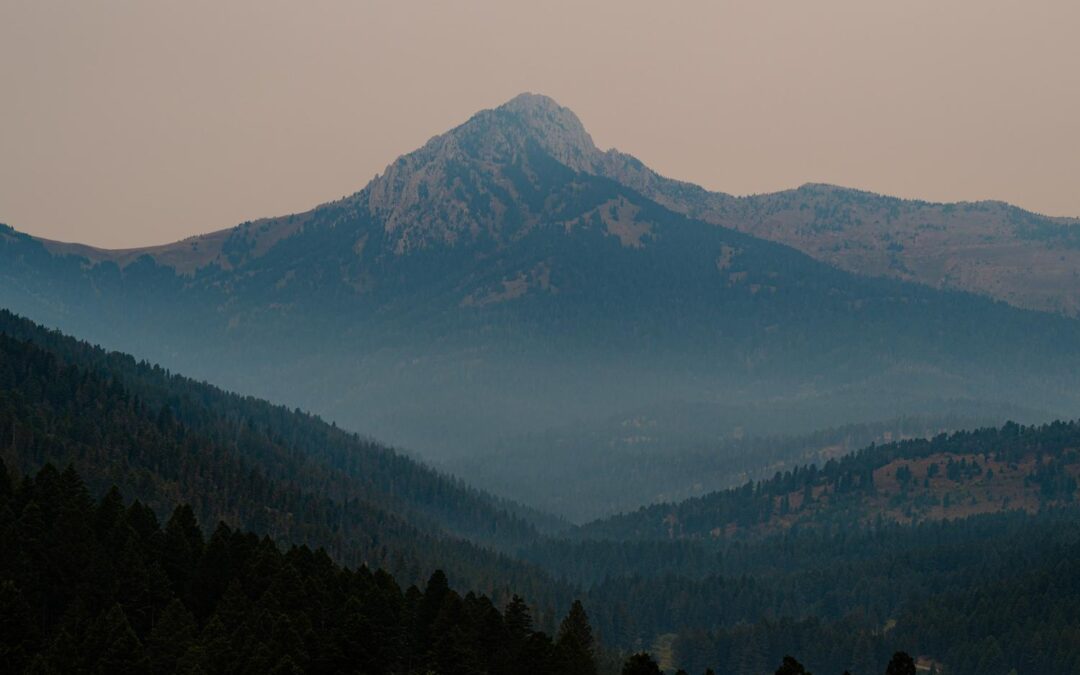 Statement from Protect Our Winters Calling for the Resignation of Lee Zeldin, Administrator of the U.S. Environmental Protection Agency