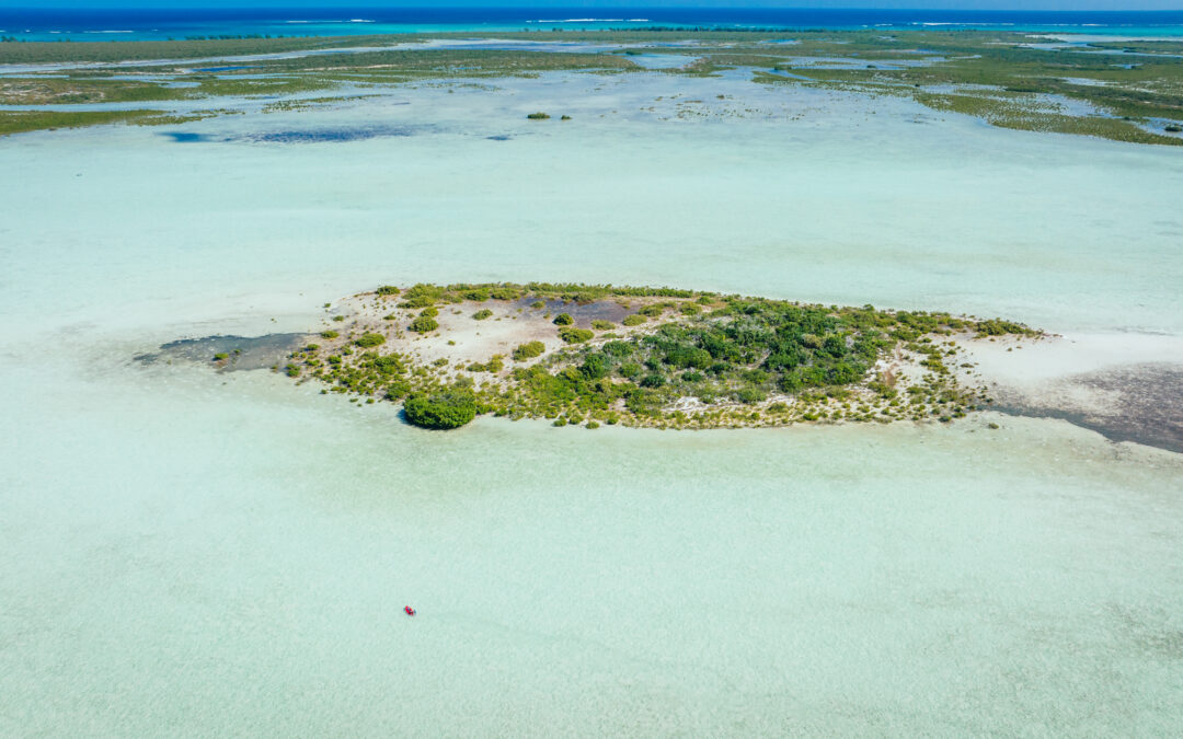 Funding Uncertainty Threatens to Sink Critical Ocean Research