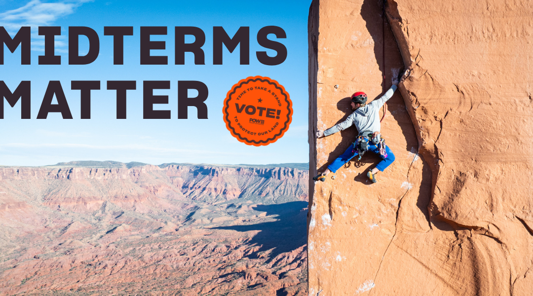 Midterms Matter