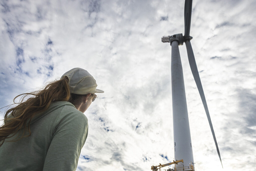 The Truth (and a Few Lies) About Offshore Wind